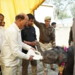 रुद्रप्रयाग, खाई में गिरे मजदूर को SDRF टीम ने सुरक्षित रेस्क्यू कर पहुंचाया अस्पताल