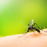 2027 तक मलेरिया मुक्त उत्तराखण्ड का संकल्प, अभियान ने पकड़ी रफ्तार