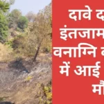 कागजी दावों के बीच सुलगता पहाड़, वनाग्नि की चपेट में आने से महिला की मौत