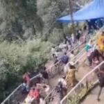 शासन ने यात्रा मार्गों पर घोड़े-खच्चरों के संचालन के लिए जारी की नई एसओपी