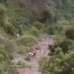त्यूणी में 100 मीटर गहरी खाई में गिरी कार, SDRF ने कड़ी मशक्कत से किया रेस्क्यू